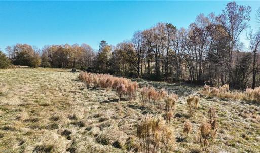 Photo #20 of 6436 Beulah Church, Liberty, NC 30.4 acres