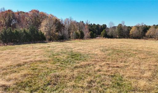 Photo #9 of 6436 Beulah Church, Liberty, NC 30.4 acres