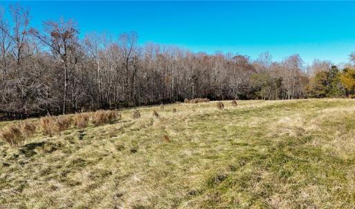 Photo #14 of 6436 Beulah Church, Liberty, NC 30.4 acres