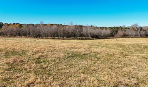 Photo #16 of 6436 Beulah Church, Liberty, NC 30.4 acres