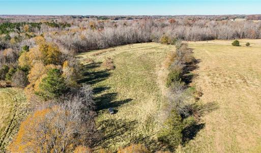 Photo #7 of 6436 Beulah Church, Liberty, NC 30.4 acres