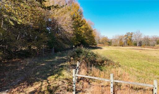 Photo #10 of 6436 Beulah Church, Liberty, NC 30.4 acres