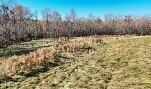 Photo #19 of 6436 Beulah Church, Liberty, NC 30.4 acres