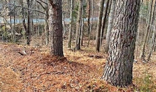 Photo #6 of Gravitte, Roxboro, NC 1.3 acres