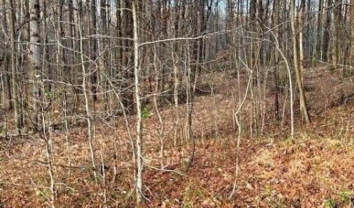 Photo #7 of Gravitte, Roxboro, NC 1.3 acres