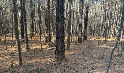 Photo #6 of Lot 4 Woods, Seagrove, NC 11.3 acres