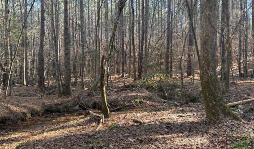 Photo #13 of Lot 4 Woods, Seagrove, NC 11.3 acres