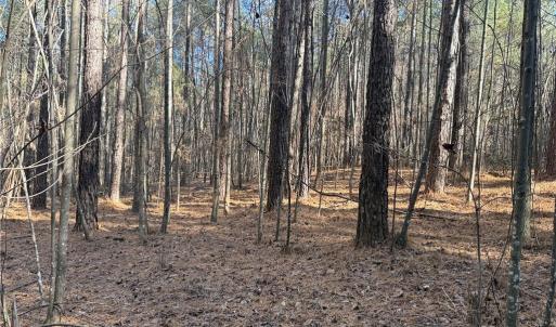Photo #7 of Lot 4 Woods, Seagrove, NC 11.3 acres