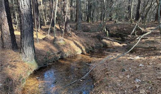 Photo #1 of Lot 4 Woods, Seagrove, NC 11.3 acres