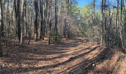 Photo #5 of Lot 4 Woods, Seagrove, NC 11.3 acres