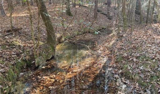 Photo #9 of Lot 4 Woods, Seagrove, NC 11.3 acres