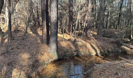 Photo #10 of Lot 4 Woods, Seagrove, NC 11.3 acres