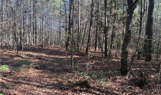 Photo #14 of Lot 4 Woods, Seagrove, NC 11.3 acres