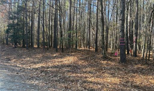 Photo #15 of Lot 4 Woods, Seagrove, NC 11.3 acres