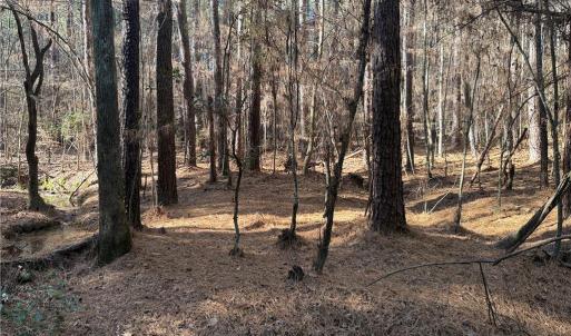 Photo #11 of Lot 4 Woods, Seagrove, NC 11.3 acres