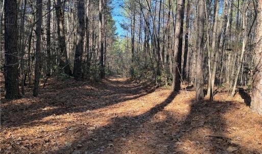 Photo #4 of Lot 4 Woods, Seagrove, NC 11.3 acres