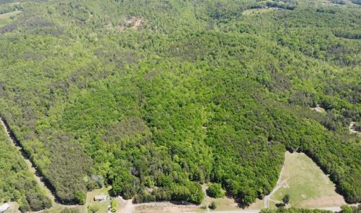 Photo #23 of 1928 Frye, Westfield, NC 77.0 acres