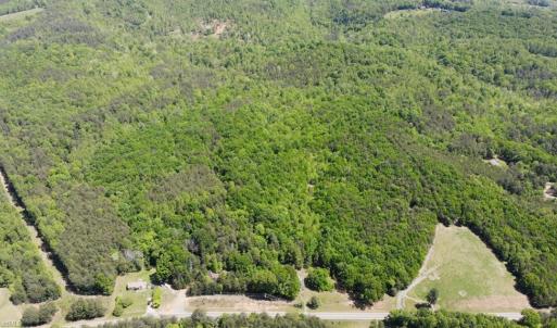 Photo #22 of 1928 Frye, Westfield, NC 77.0 acres