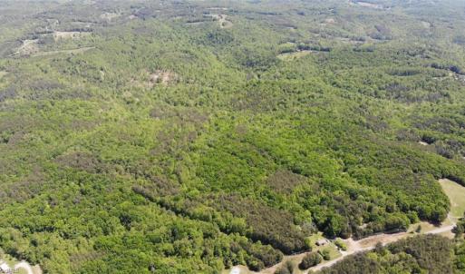Photo #33 of 1928 Frye, Westfield, NC 77.0 acres