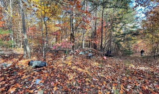 Photo #19 of 1928 Frye, Westfield, NC 77.0 acres