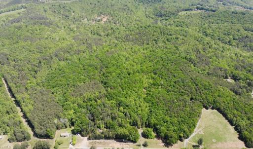 Photo #21 of 1928 Frye, Westfield, NC 77.0 acres