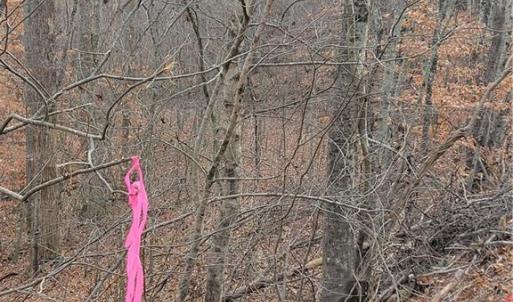 the Old Road Bed intersecting the Paved Bowen Road