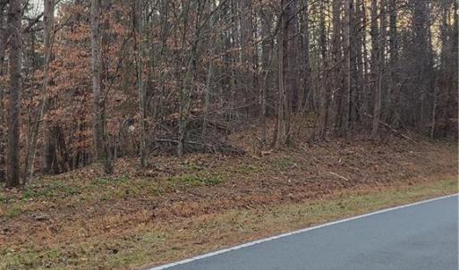 Photo #12 of 1671 Bowen, Pinnacle, NC 11.1 acres