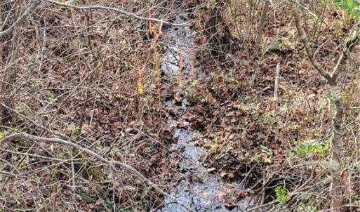 Photo #4 of 1671 Bowen, Pinnacle, NC 11.1 acres