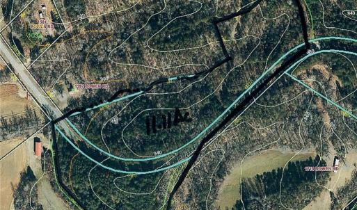 This tract has Planted Loblolly Pine and is on both sides of Bowen Road.