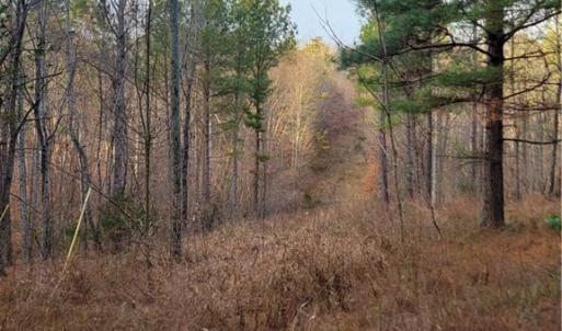Existing Power Line on the Property for Residential Power