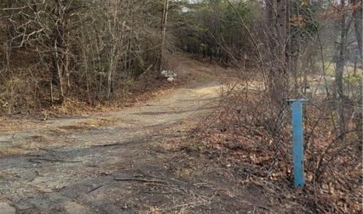 Photo #5 of 1671 Bowen, Pinnacle, NC 11.1 acres