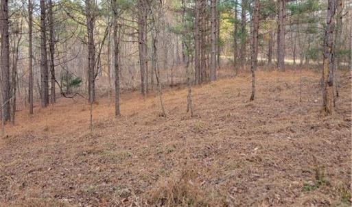 a potential building site