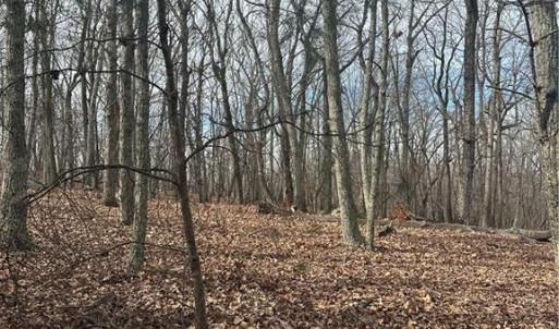 Photo #6 of 1527 Sierra Trace, Denton, NC 2.8 acres
