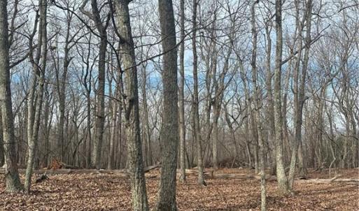 Photo #5 of 1527 Sierra Trace, Denton, NC 2.8 acres