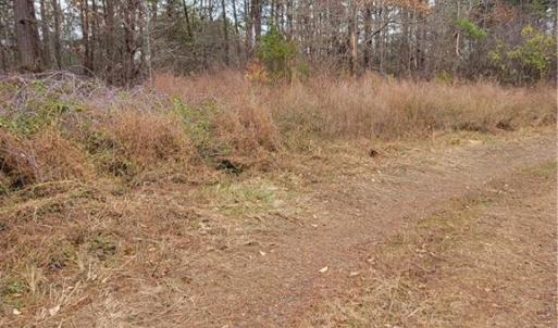 Photo #3 of 1788 Bowen, Pinnacle, NC 4.2 acres