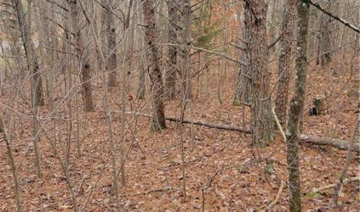 Photo #5 of 1788 Bowen, Pinnacle, NC 4.2 acres