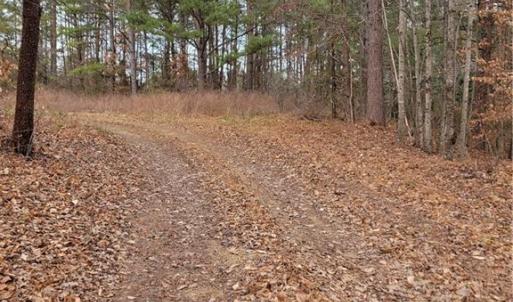 Photo #4 of 1788 Bowen, Pinnacle, NC 4.2 acres