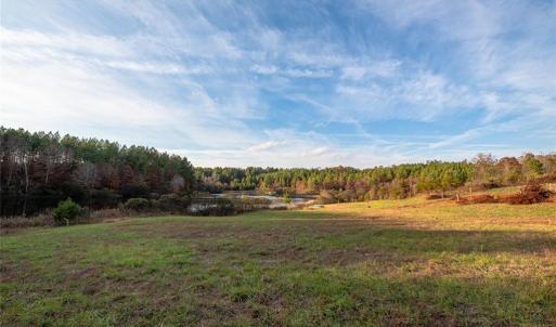 Photo #17 of Lady Mary, Stoneville, NC 374.0 acres