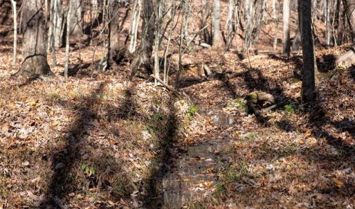 Photo #28 of Lady Mary, Stoneville, NC 374.0 acres