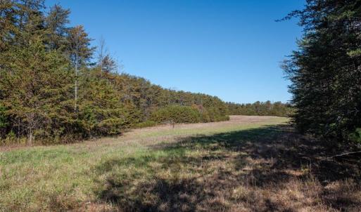 Photo #24 of Lady Mary, Stoneville, NC 374.0 acres
