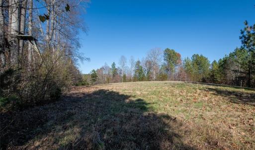Photo #34 of Lady Mary, Stoneville, NC 374.0 acres