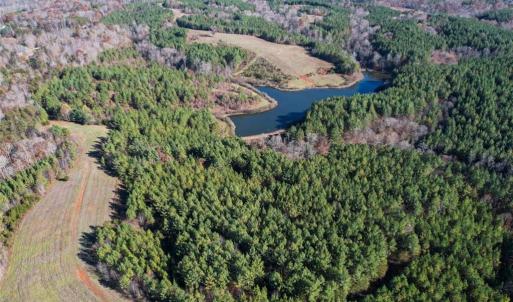 Photo #10 of Lady Mary, Stoneville, NC 374.0 acres