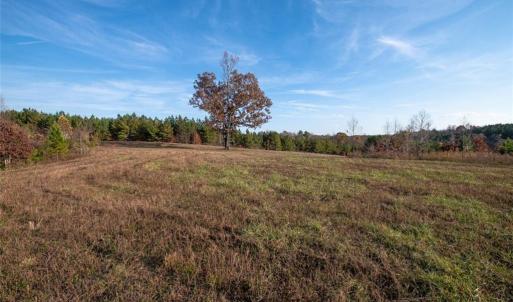 Photo #14 of Lady Mary, Stoneville, NC 374.0 acres