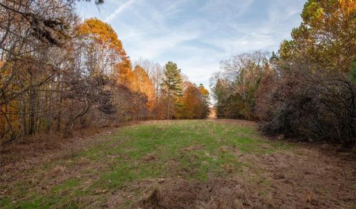 Photo #41 of Lady Mary, Stoneville, NC 374.0 acres