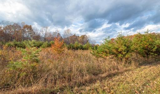 Photo #45 of Lady Mary, Stoneville, NC 374.0 acres