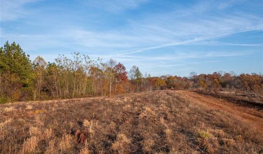 Photo #19 of Lady Mary, Stoneville, NC 374.0 acres