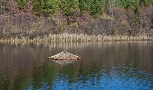 Photo #31 of Lady Mary, Stoneville, NC 374.0 acres