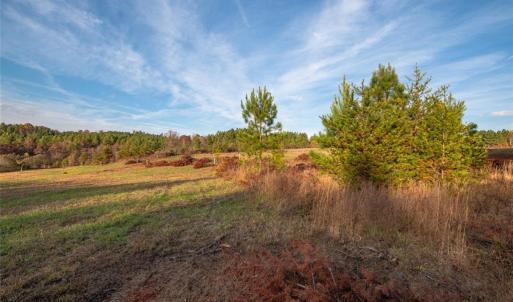 Photo #4 of Lady Mary, Stoneville, NC 374.0 acres