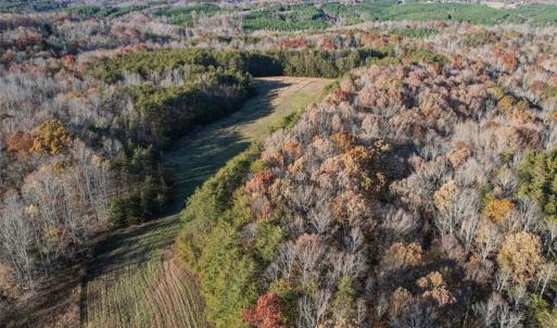 Photo #8 of Lady Mary, Stoneville, NC 374.0 acres