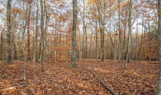 Photo #23 of Lady Mary, Stoneville, NC 374.0 acres